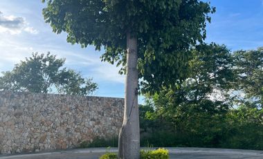 Casa en privada Zendera