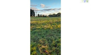 VENDO HERMOSO CAMPO SECTOR COQUIAO ANCUD CHILOE