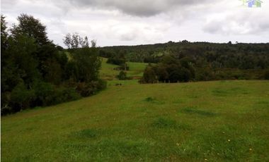 VENDO HERMOSO CAMPO SECTOR COQUIAO ANCUD CHILOE