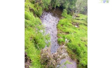 VENDO HERMOSO CAMPO SECTOR COQUIAO ANCUD CHILOE