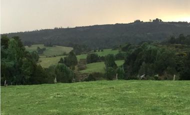 VENDO HERMOSO CAMPO SECTOR COQUIAO ANCUD CHILOE