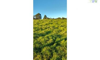 VENDO HERMOSO CAMPO SECTOR COQUIAO ANCUD CHILOE