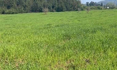 Parcela en Venta en Sector Lo Vargas