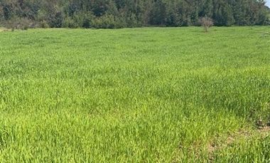 Parcela en Venta en Sector Lo Vargas