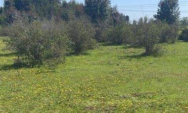 Parcela en Venta en Sector Lo Vargas
