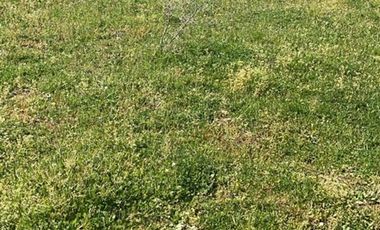 Parcela en Venta en Sector Lo Vargas