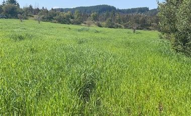 Parcela en Venta en Sector Lo Vargas