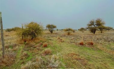 Parcela en Venta en ruta Los Conquistadores km31