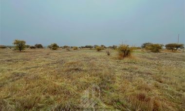 Parcela en Venta en ruta Los Conquistadores km31