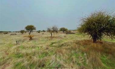 Parcela en Venta en ruta Los Conquistadores km31