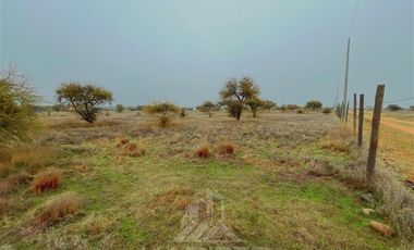 Parcela en Venta en ruta Los Conquistadores km31