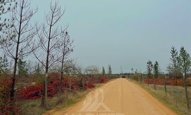 Parcela en Venta en ruta Los Conquistadores km31