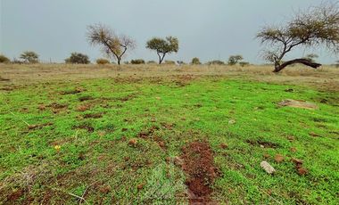 Parcela en Venta en ruta Los Conquistadores km31