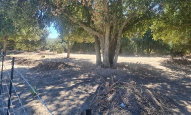TERRENO EN TECATE/ ENCINO DORADO/ FINANCIAMIENTO*