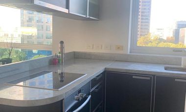 Departamento en  Juana Manso 670, Puerto Madero