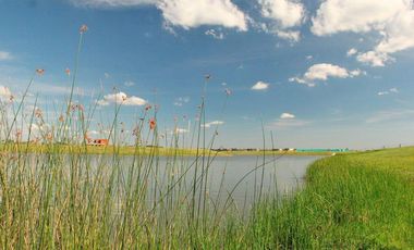 Imperdible lote a la laguna - San Sebastian - Area 8