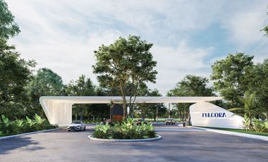 Macrolote  en venta  Residencial Fulgora Dzityá