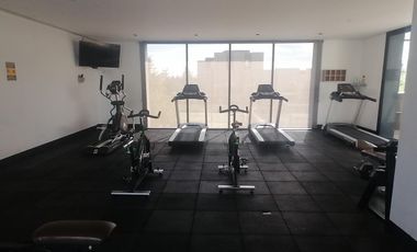 RENTA DE LOFT EN RESIDENCIAL FENIX IV