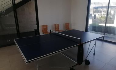 RENTA DE LOFT EN RESIDENCIAL FENIX IV