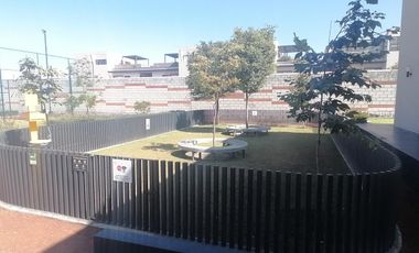 RENTA DE LOFT EN RESIDENCIAL FENIX IV