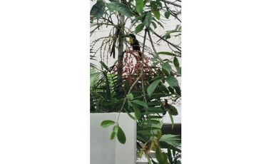 SE VENDE APARTAMENTO EN QUARRY HEIGHTS