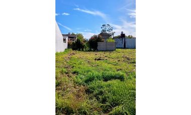 LOTE ANTIBES Y SELVA NEGRA