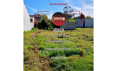 LOTE ANTIBES Y SELVA NEGRA