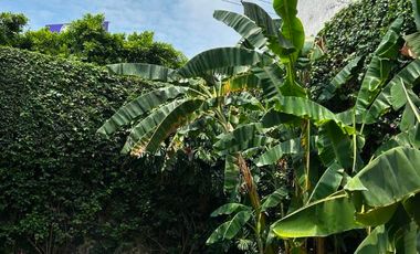 Casa en Condominio en Delicias Cuernavaca - CRB-1276-Cd