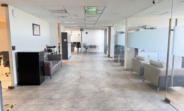 Renta Oficinas en Polanco, Miguel Hidalgo