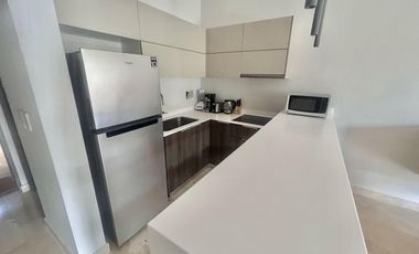 RENTA LARGO PLAZO 2 RECAMARAS2 BEDROOMLUXURY