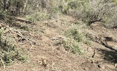 Terreno en venta en Jocotepec, Chapala, Jalisco