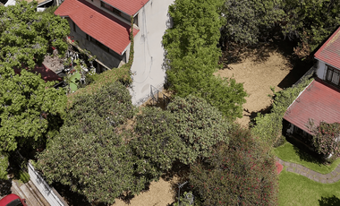 Terreno en venta en Tlacopac, en calle Aralia