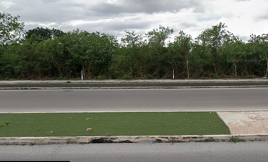 Terreno comercial con excelente ubicación en Yucatán