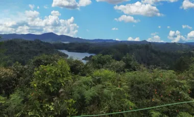 Finca en venta en Peñol