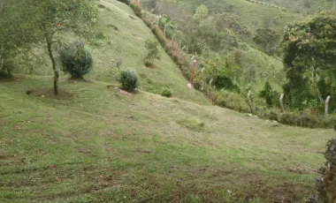 Finca en venta en Peñol