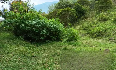 Venta de finca en la vereda santa rita - angelopolis