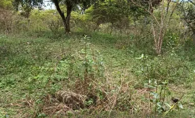 Venta de finca en la vereda santa rita - angelopolis