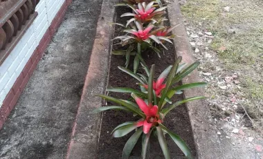 Venta de finca en la vereda santa rita - angelopolis