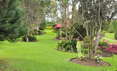 Finca en venta en El Retiro