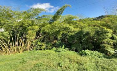 CASA CAMPESTRE EN ARRIENDO EN VEREDA EL ROSARIO/MANIZALES