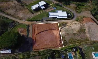 LOTE EN VENTA VIA CERRITOS /PEREIRA