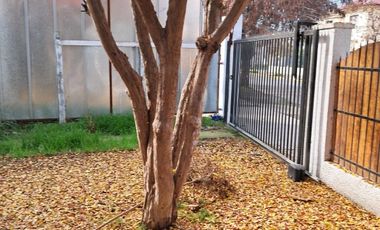 A DOS CUADRAS DE LA PLAZA Y A UNA DE LA MUNICIPALIDAD