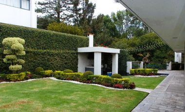 Casa en renta en Pedregal de San Francisco, Coyoacán, CDMX