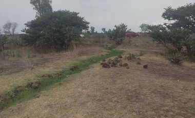 Terreno Soyaniquilpan en Venta