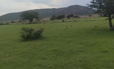 Terreno San Agustin Buenavista en Venta