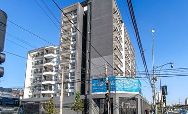 Los Andes de Violeta [3301-1]