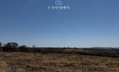 TERRENO RÚSTICO EN VENTA EN MATATLÁN, ENTRE TONALÁ Y ZAPOTLANEJO, JALISCO