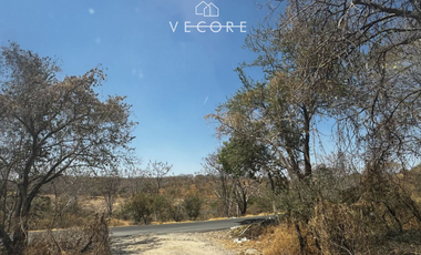 TERRENO RÚSTICO EN VENTA EN MATATLÁN, ENTRE TONALÁ Y ZAPOTLANEJO, JALISCO