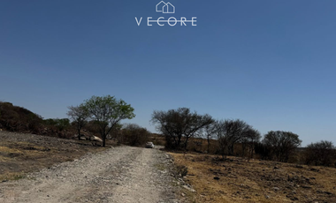 TERRENO RÚSTICO EN VENTA EN MATATLÁN, ENTRE TONALÁ Y ZAPOTLANEJO, JALISCO