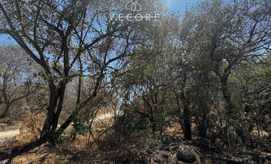 TERRENO RÚSTICO EN VENTA EN MATATLÁN, ENTRE TONALÁ Y ZAPOTLANEJO, JALISCO